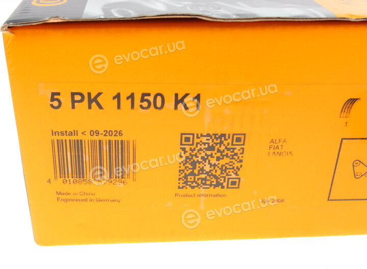 Continental 5PK1150K1