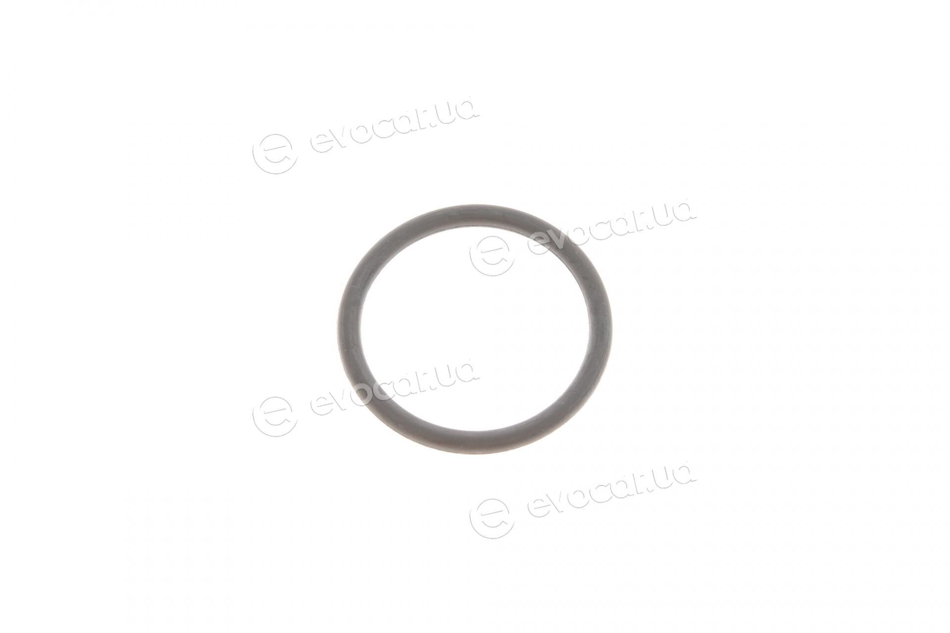 Van Wezel 37002474