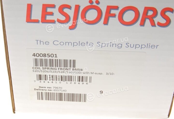 Lesjofors 4008501