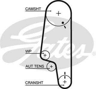 Gates K025427XS