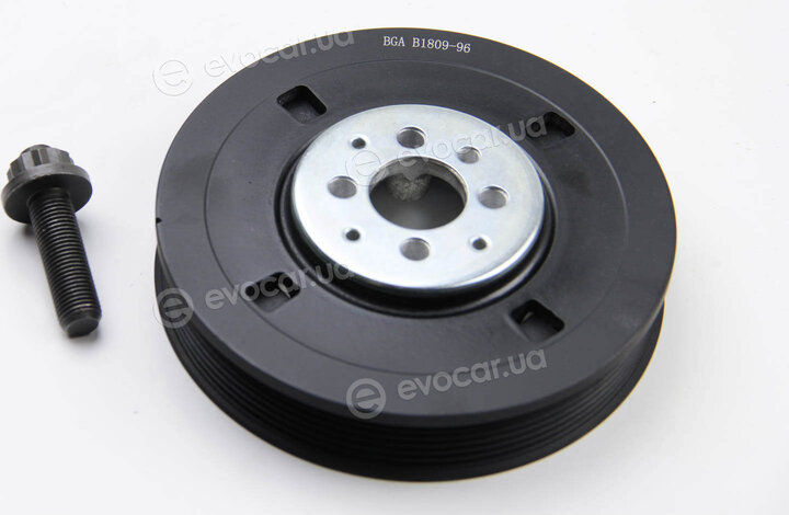 BGA DP0204K