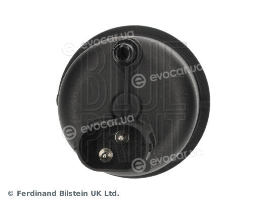 Blue Print ADBP230080