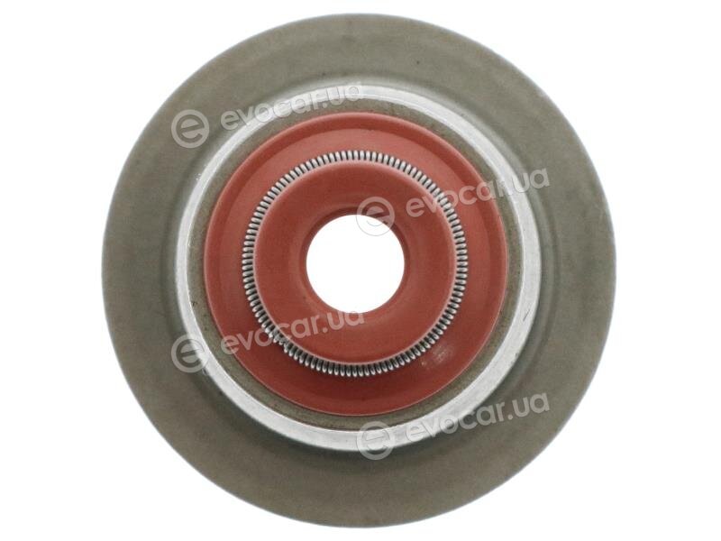 Starline GA 6509
