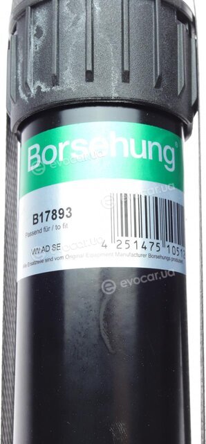 Borsehung B17893