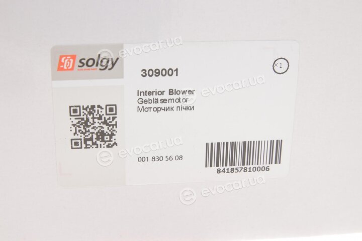 Solgy 309001