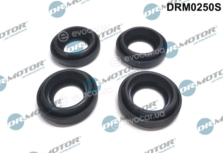 Dr. Motor DRM0250S