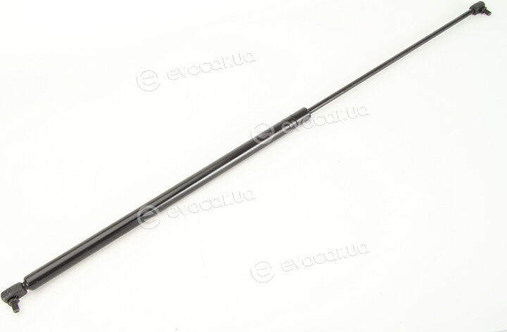 Stabilus 062804