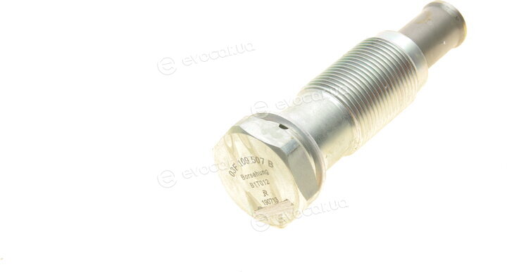 Borsehung B1T012