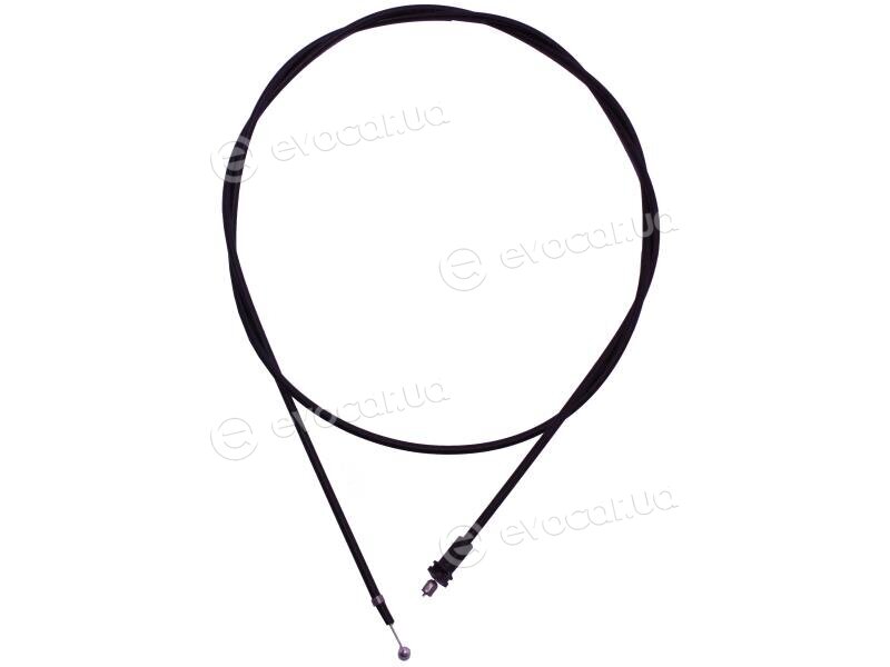 Starline 6Y1823531B