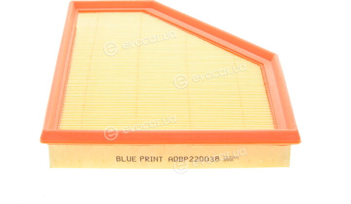 Blue Print ADBP220038