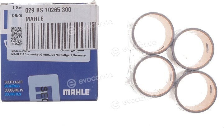 Mahle 029 BS 10265 300