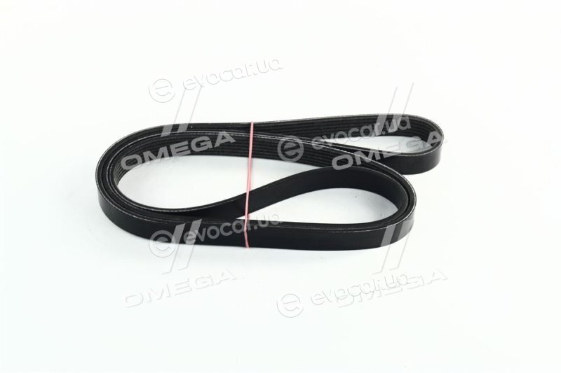 Dayco 6PK1580S