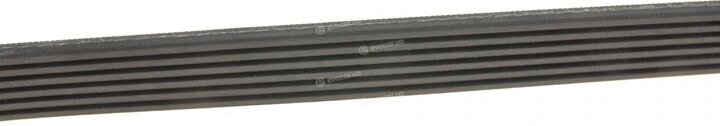 Gates 6PK1660