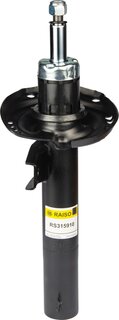 Raiso RS315910