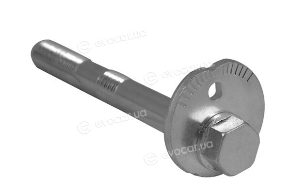 Tedgum TED44643