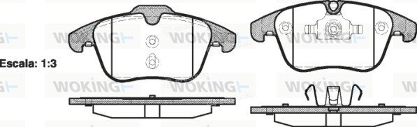 Woking P13193.00