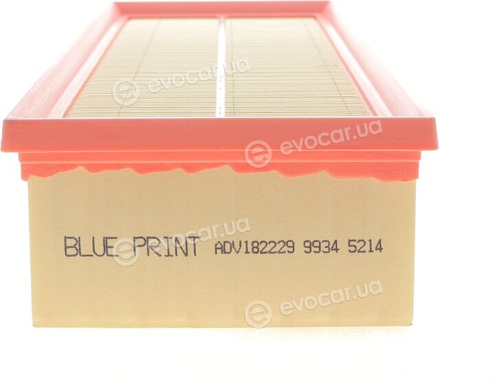 Blue Print ADV182229