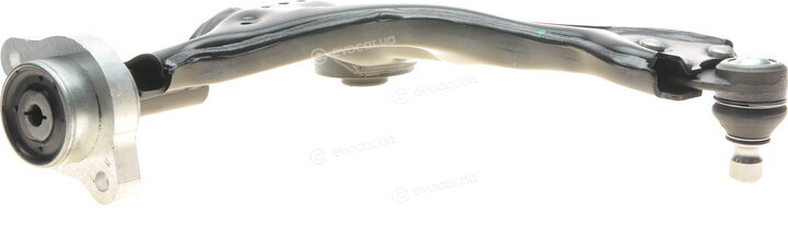 Solgy 204073