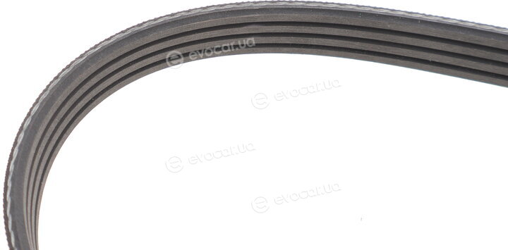 Gates 4PK725