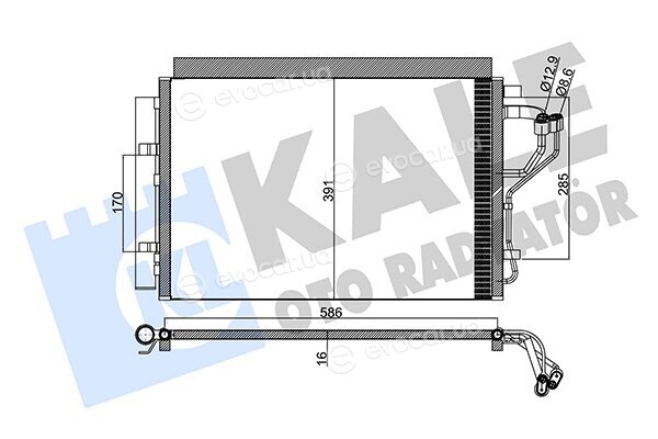 Kale 342525