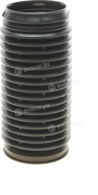 Borsehung B10027