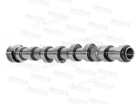 Motive T4439