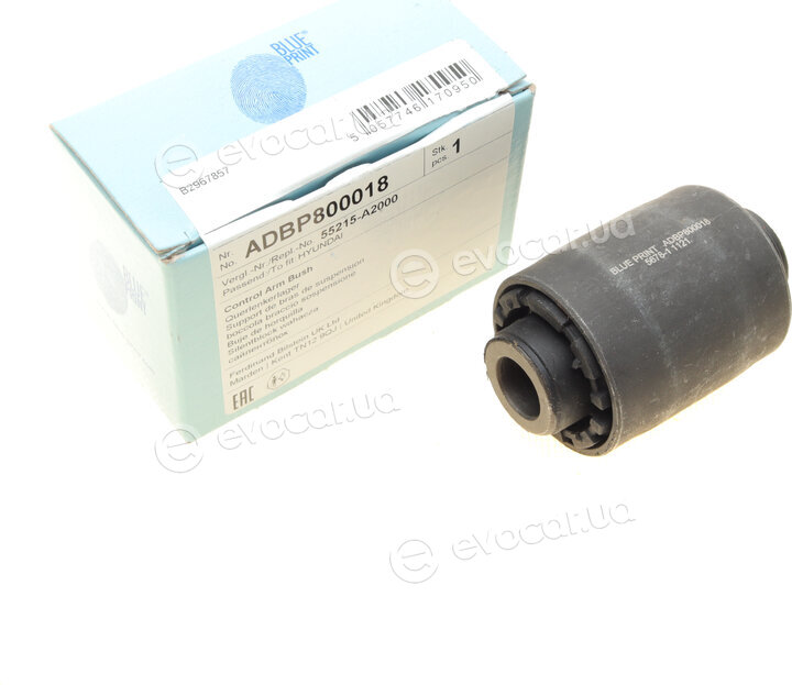 Blue Print ADBP800018