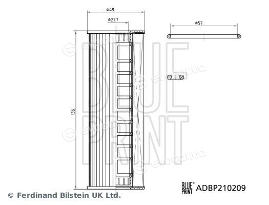 Blue Print ADBP210209