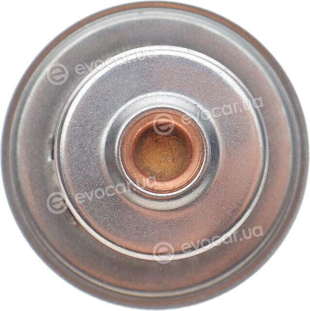 Motorad 232-91K