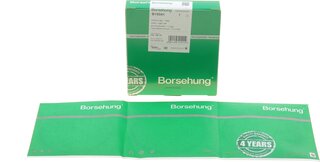 Borsehung B19041
