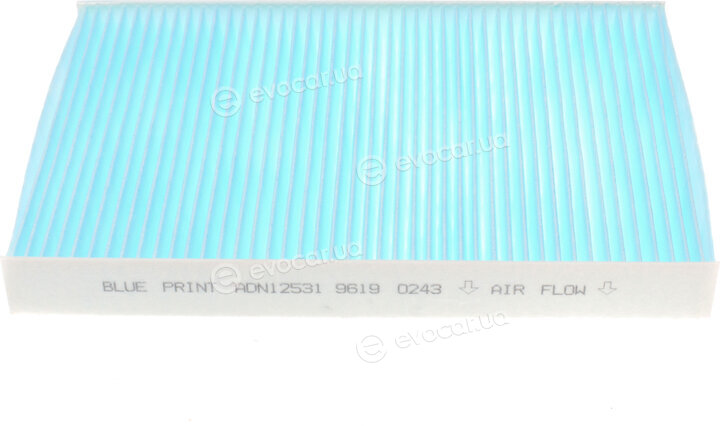 Blue Print ADN12531
