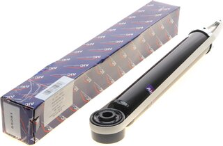 AIC 55281