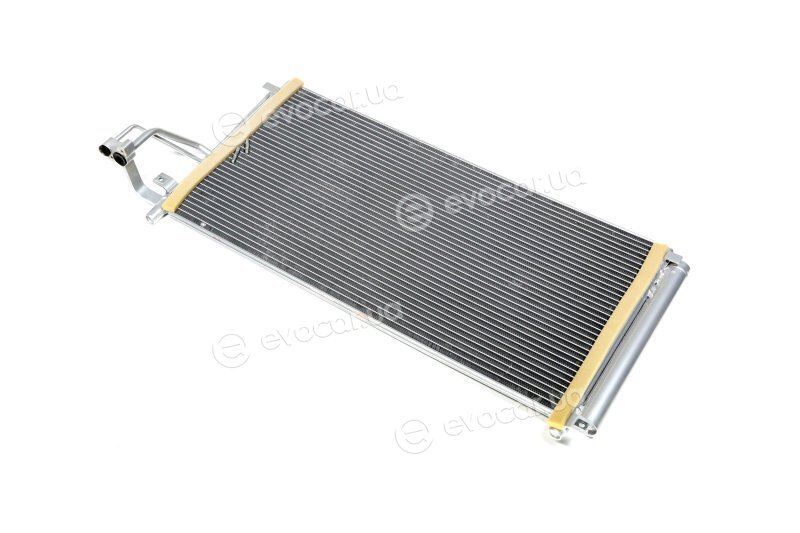 AVA HY5184D
