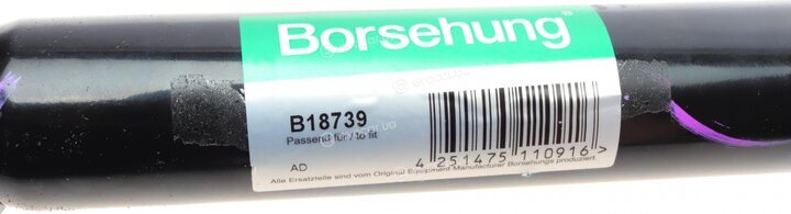 Borsehung B18739