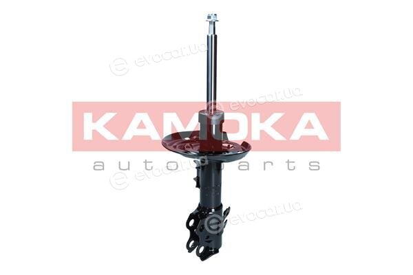 Kamoka 2001104