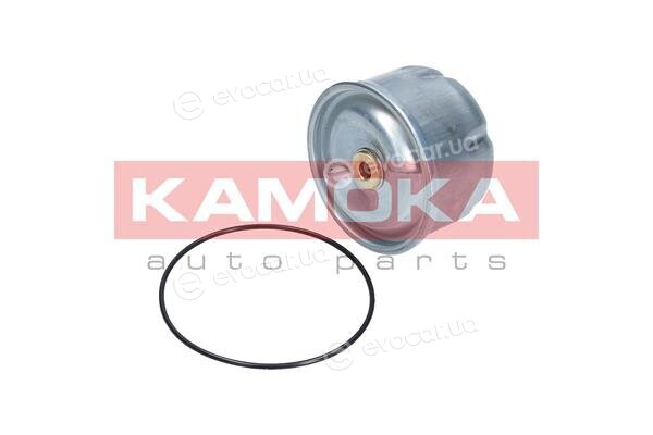 Kamoka F115001
