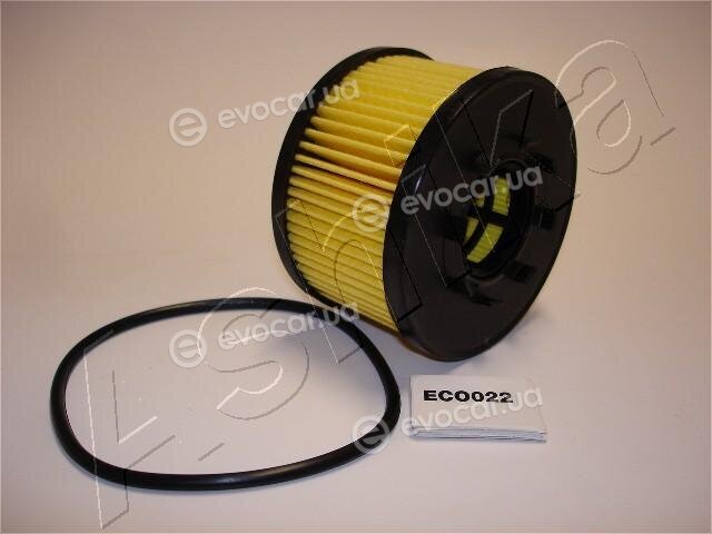 Ashika 10-ECO022