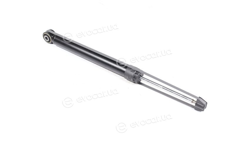 Sachs 313 365
