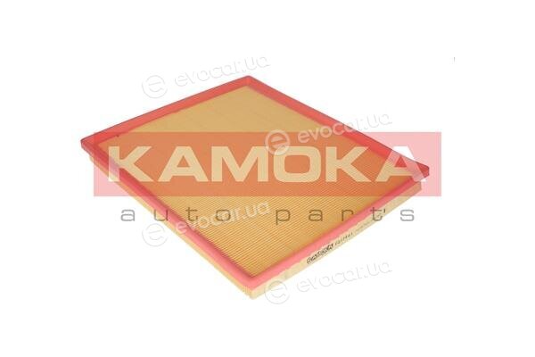 Kamoka F217901