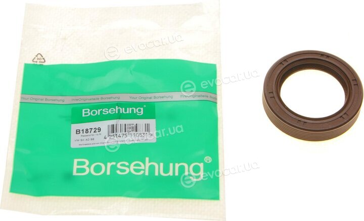 Borsehung B18729