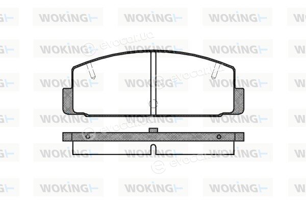 Woking P0793.10