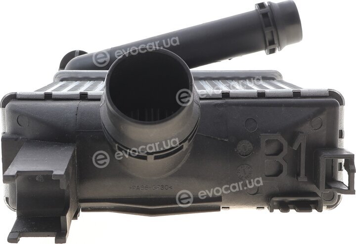 Mahle CI 497 000S