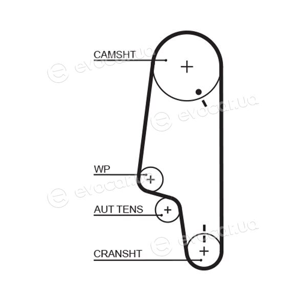 Gates K015428XS