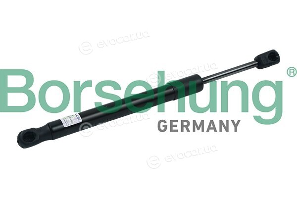 Borsehung B18442