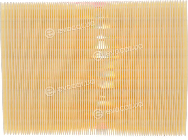 Solgy 103130