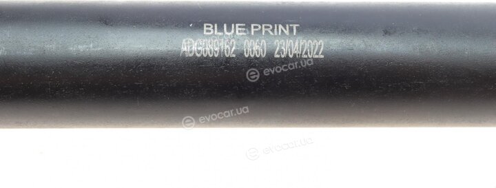 Blue Print ADG089162