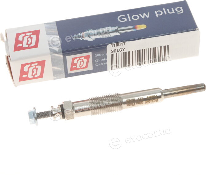 Solgy 116017