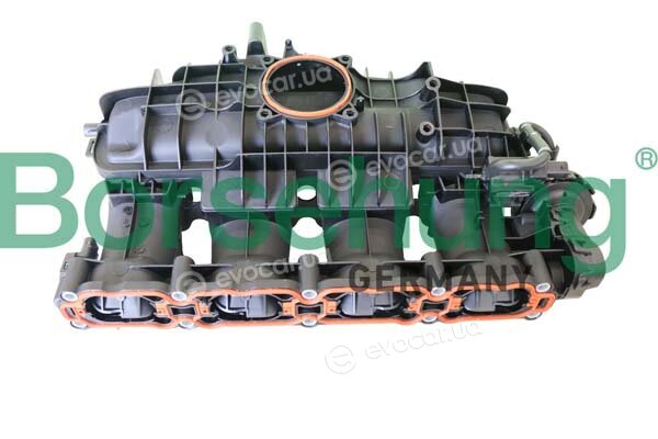 Borsehung B10665