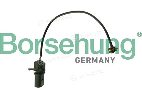 Borsehung B13388