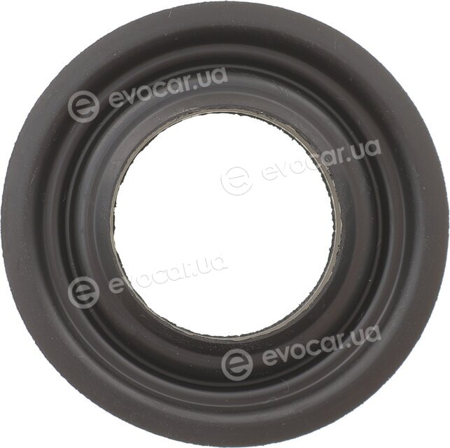 Belgum BG0180